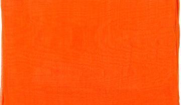 Echarpe en soie 67×180, mousseline de soie unie – Orange Albicocca